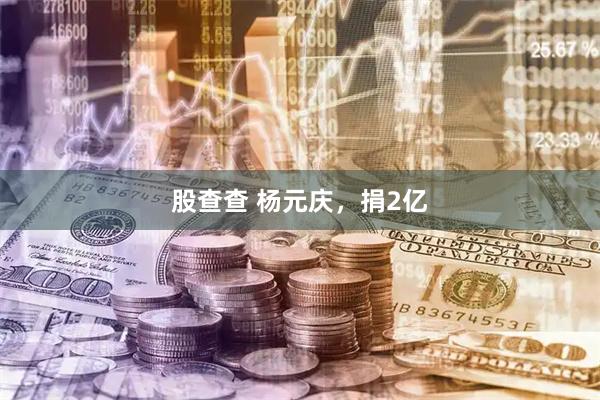 股查查 杨元庆，捐2亿